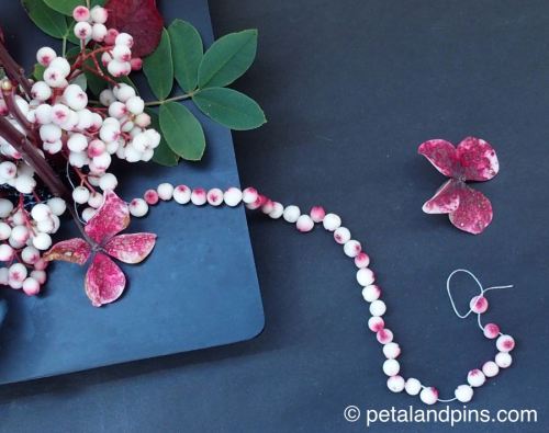 rowan berry pearls