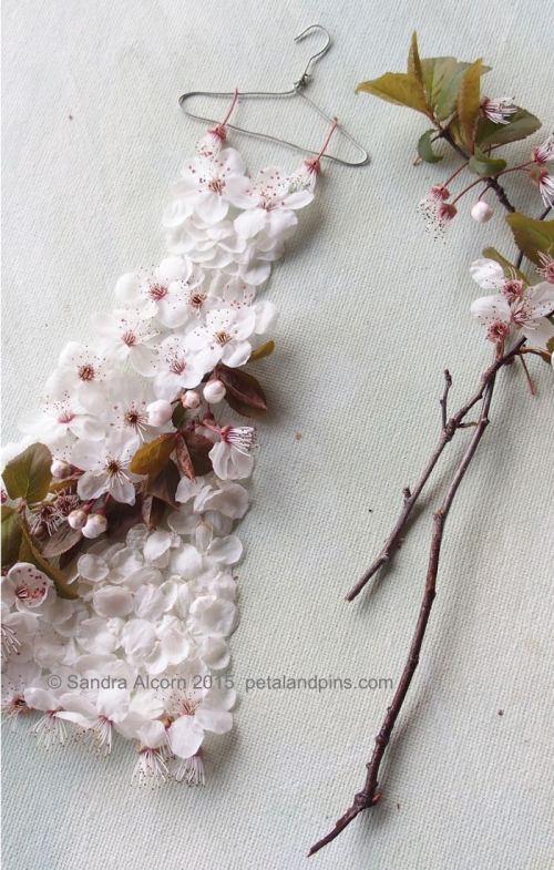 petal & pins plum blossom dress